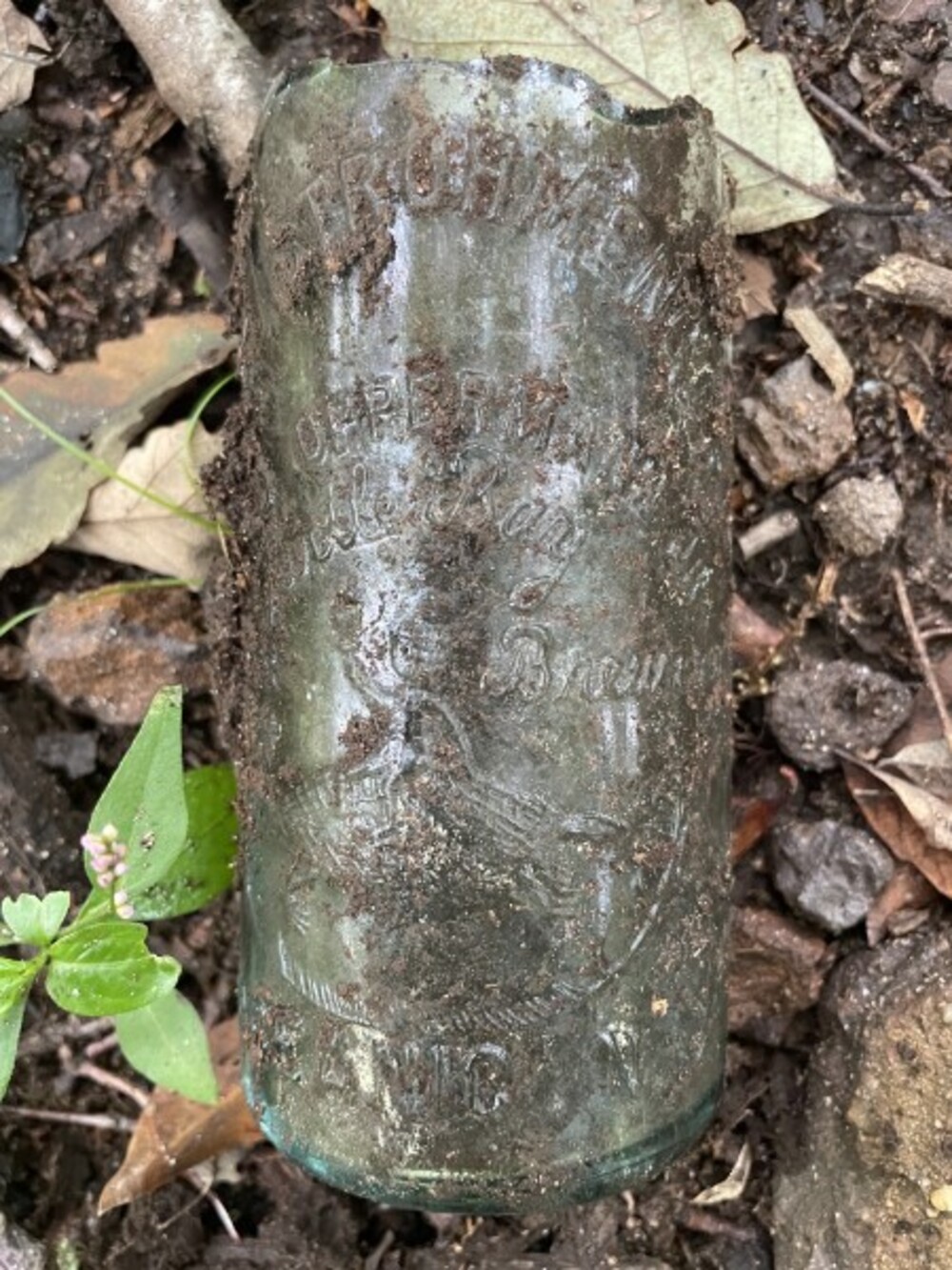 A dirt-caked embossed antique bottle lying half-buried in leaves and soil